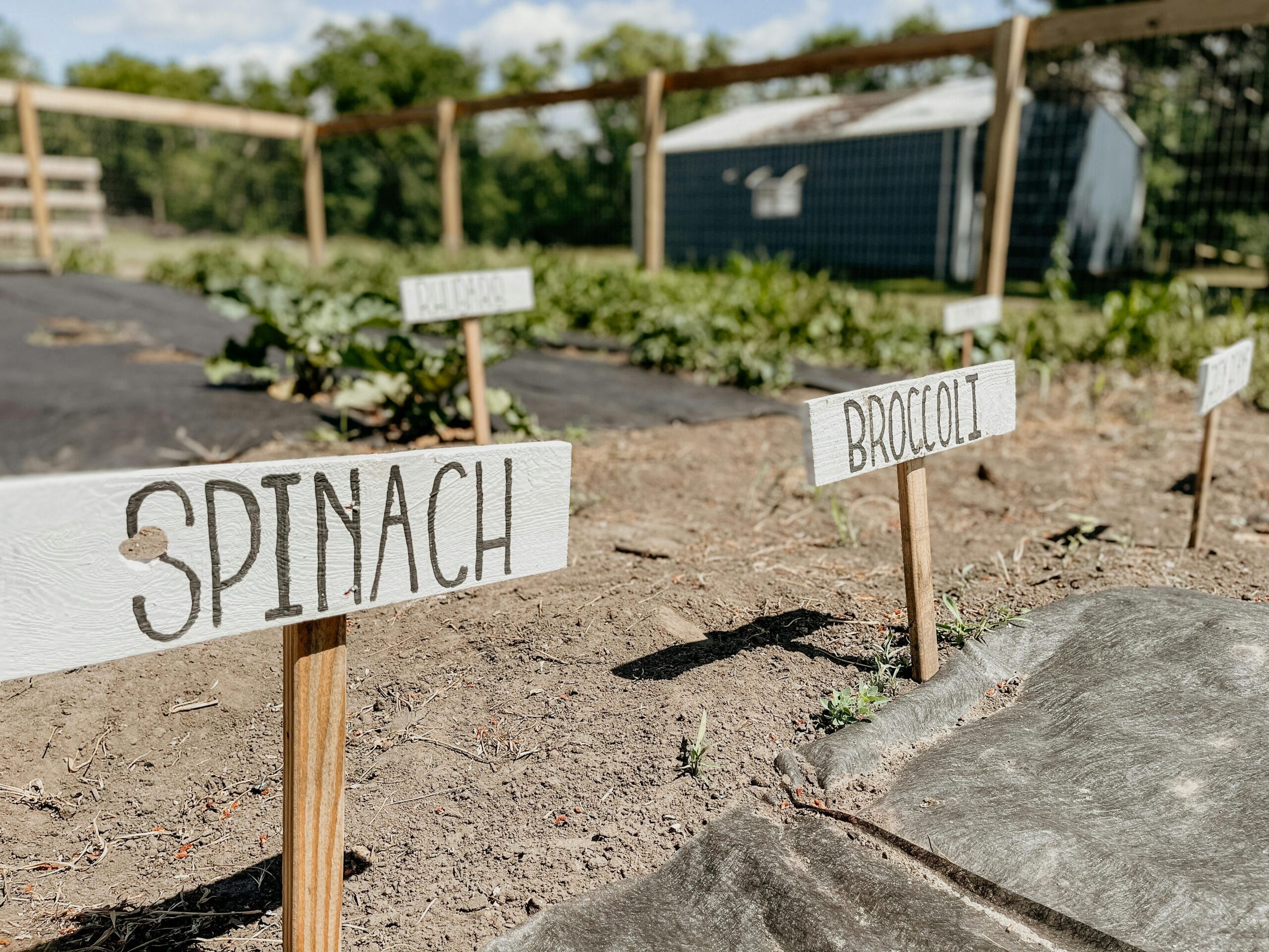 Permaculture project by My Dragonfly Gardens