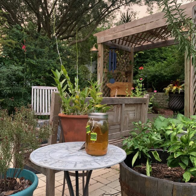 Central Florida Landscaping