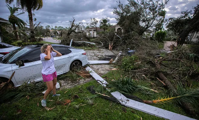 Florida native plants care Hurricane plant recovery Storm damage garden tips