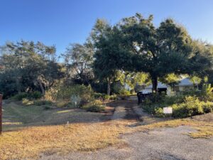 Native Gardens