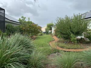 Florida Native Plant Maintenance Services