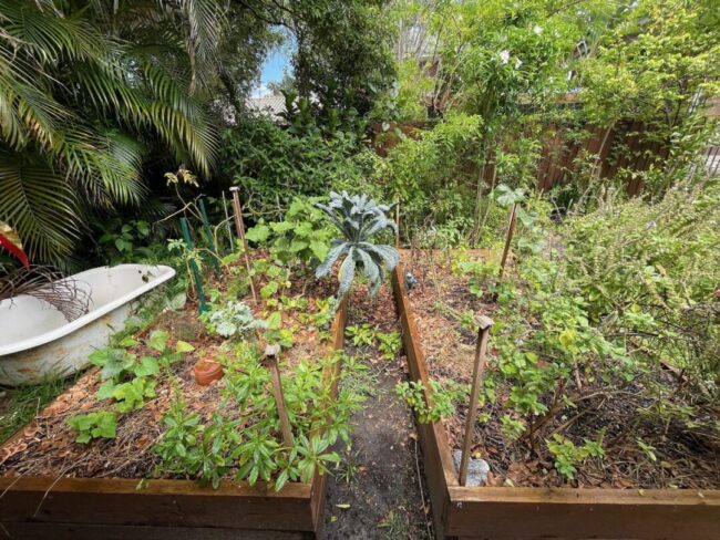 Previous Permaculture jobs