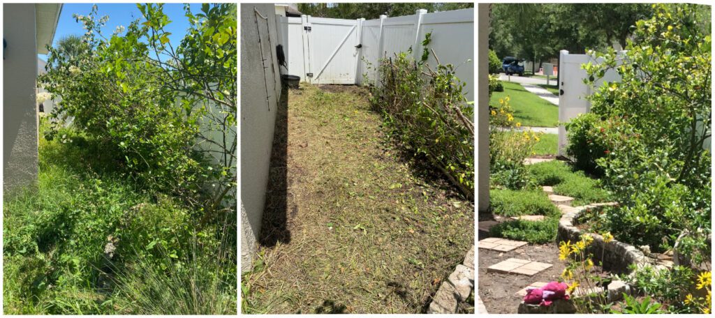 Sustainable Garden Maintenance Services