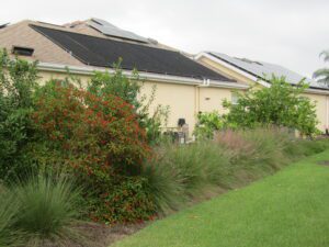 Florida Native Plant Maintenance Services