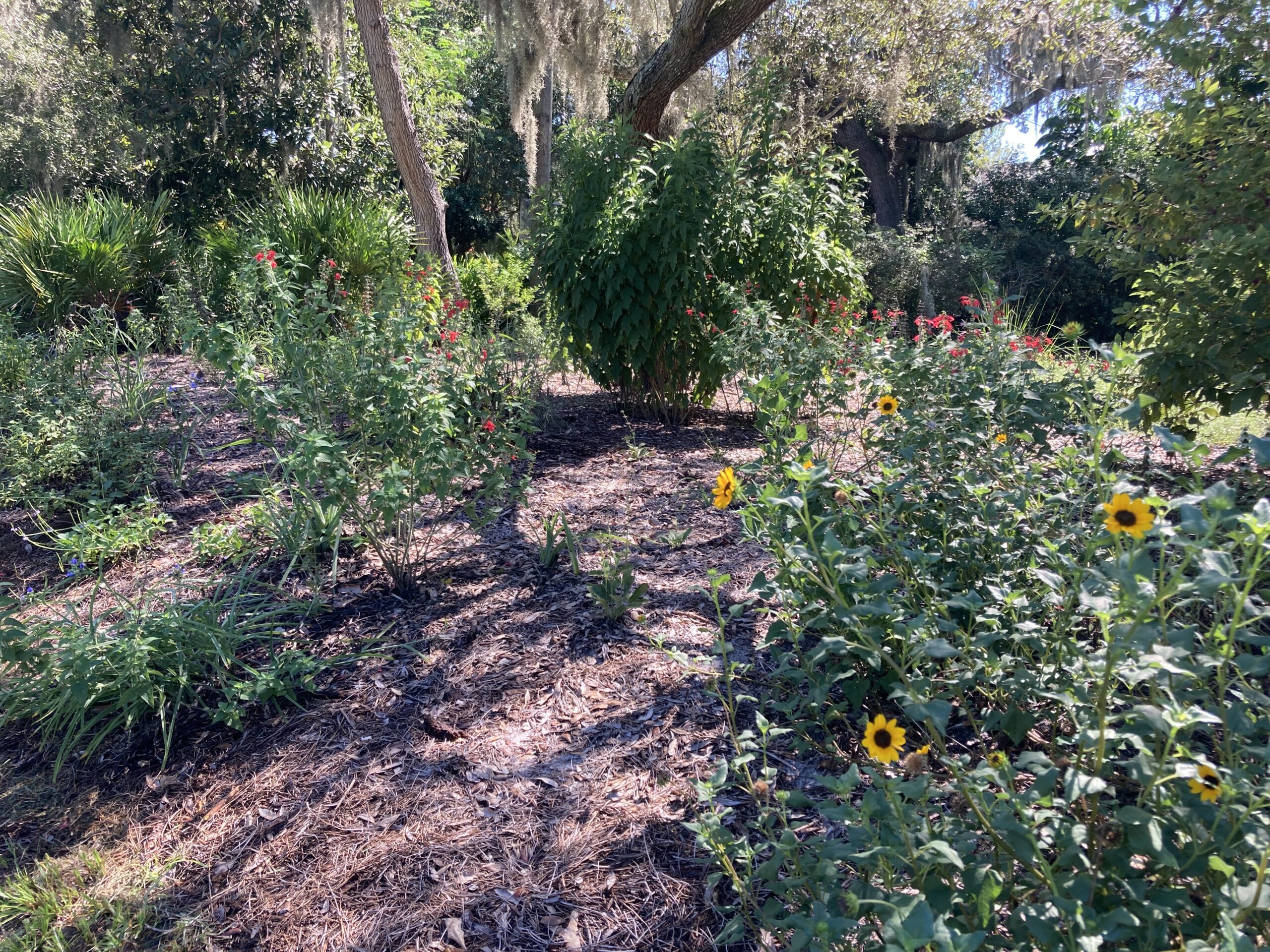 Sustainable Desings with Native Plants