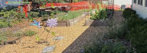 443-260415 Before installation by My Dragonfly Gardens